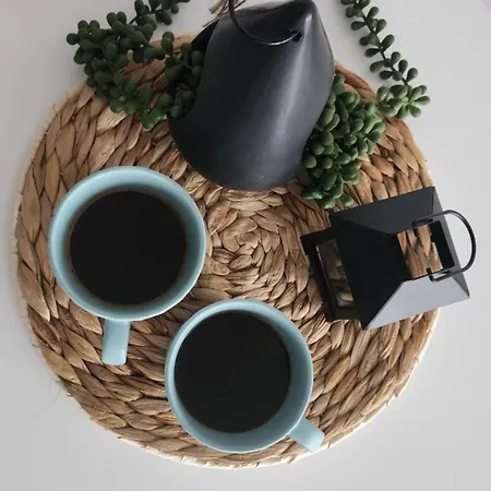 Vidik Family アパート *