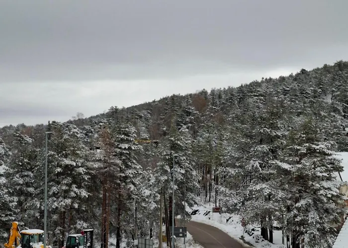 Vidik Family Apartamento