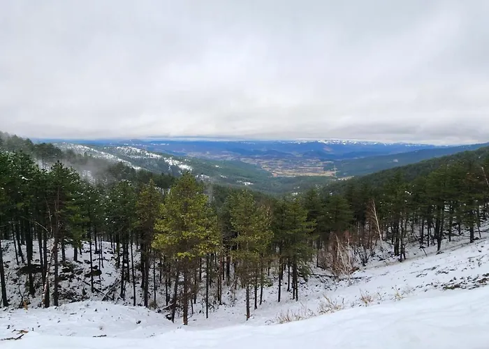 Apartamento Vidik Family